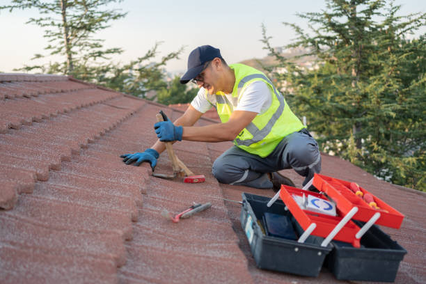 Best Best Roofing Contractors  in Logan Elm Village, OH