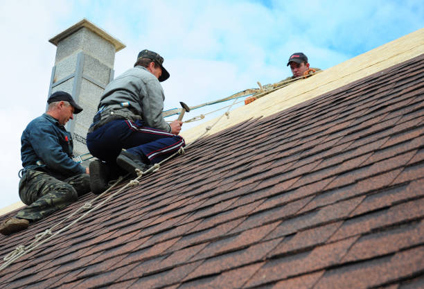 Best Tile Roofing Contractor  in Logan Elm Village, OH