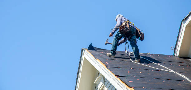 Best Roof Leak Repair  in Logan Elm Village, OH